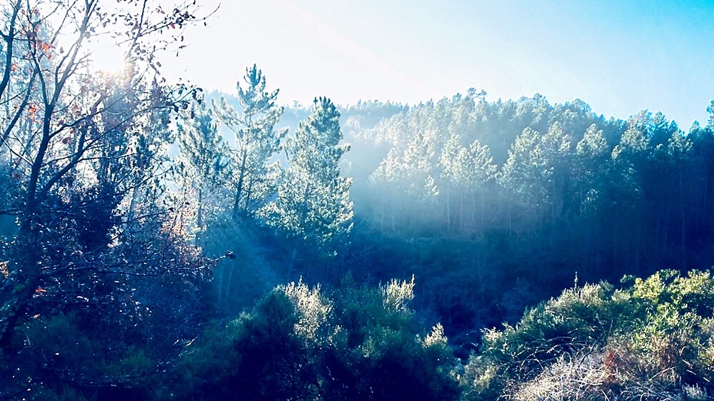 Warum ist Veränderung schwer?