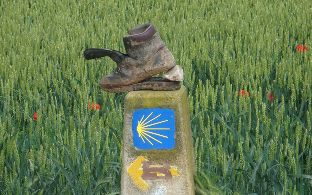 5 Gründe, warum du deine Ziele nicht erreichst