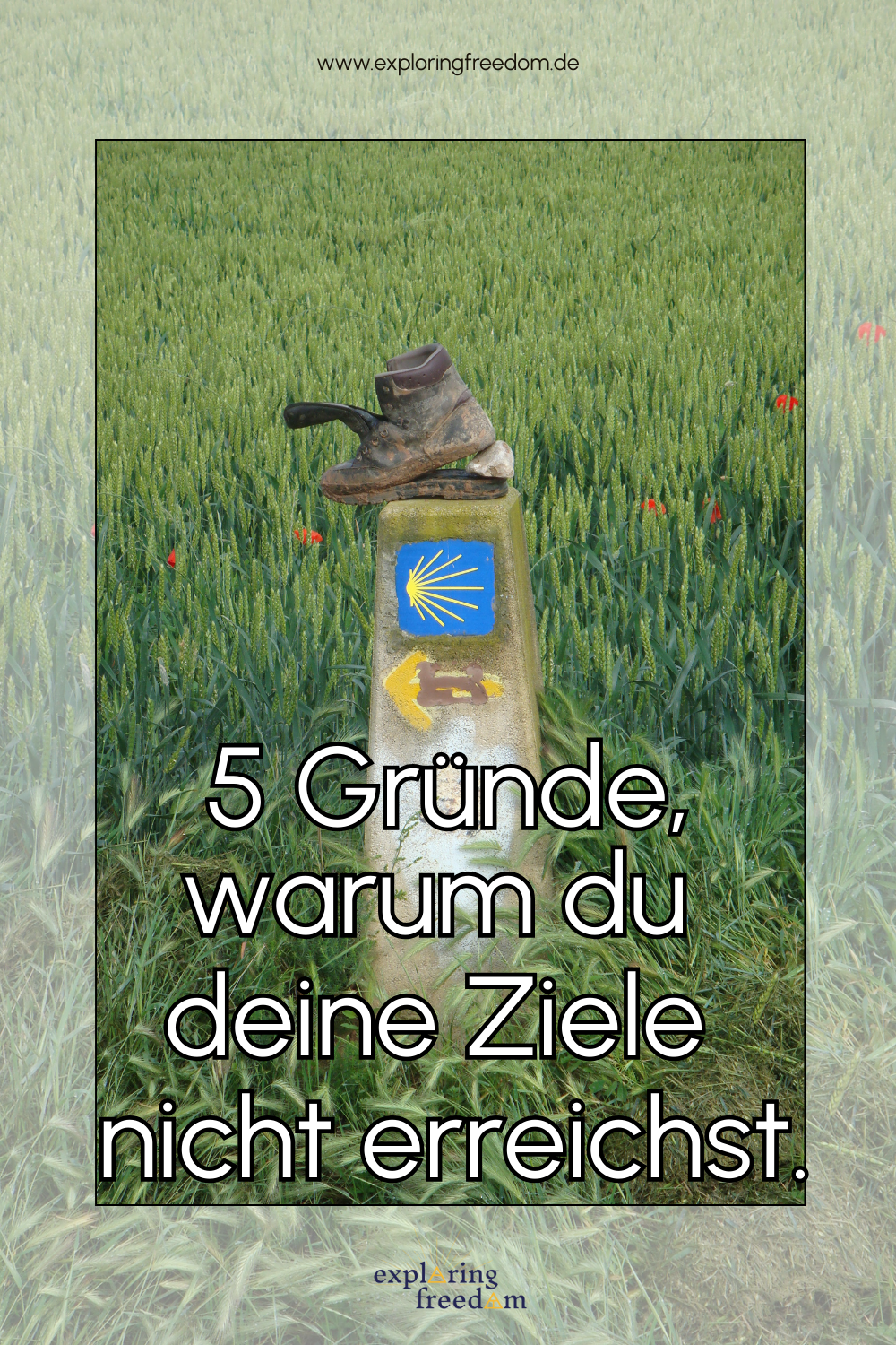 5 Gründe, warum du deine Ziele nicht erreichst