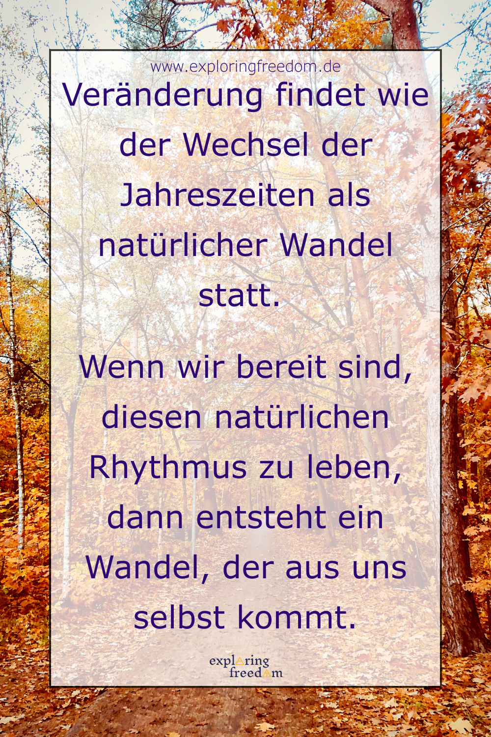 Dein 8-Wochen-Season-Special: Durch die dunkle Jahreszeit den Weg zu sich selbst finden