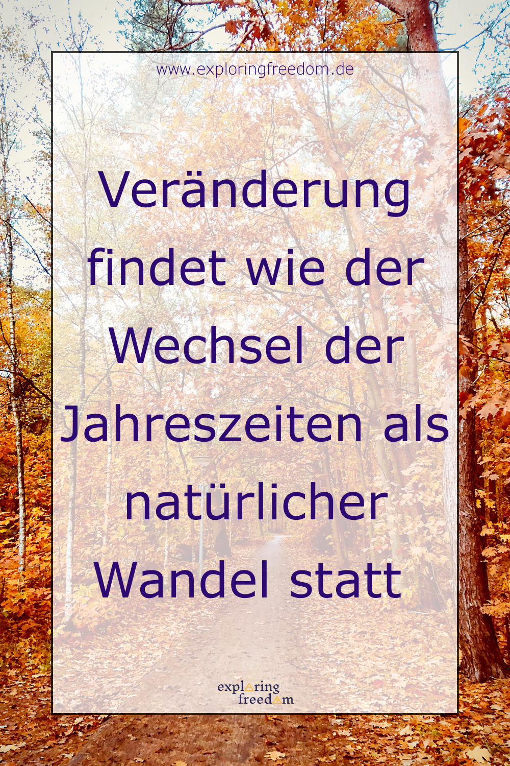 Dein 8-Wochen-Season-Special: Durch die dunkle Jahreszeit den Weg zu sich selbst finden